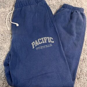 Pacific Sunwear Navy Joggers
